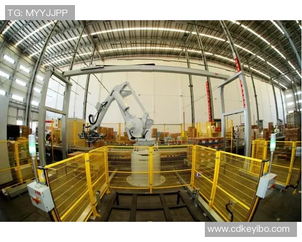 上海极限运动队灵活性深度对比分析与发展趋势探讨 上海极限运动队灵活性深度对比分析与发展趋势探讨