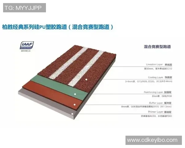 北京排球队技术革新引发热议助力竞技水平提升