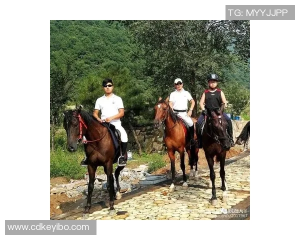 深度分析深圳攀岩队的区域防守战术及其战绩影响