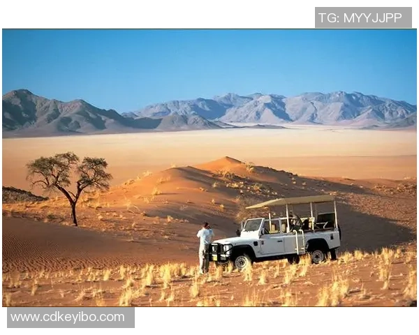 南非与纳米比亚激战正酣谁能在这场较量中笑到最后 南非与纳米比亚激战正酣谁能在这场较量中笑到最后