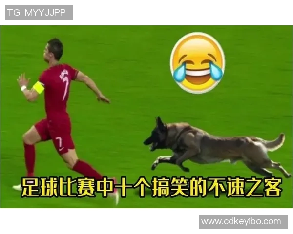 德国与阿尔及利亚足球赛中的搞笑瞬间大盘点让人捧腹大笑的精彩时刻回顾 德国与阿尔及利亚足球赛中的搞笑瞬间大盘点让人捧腹大笑的精彩时刻回顾